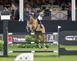 jumper Trixie Z (Zangersheide riding horse, 2014, from Tobago Z)