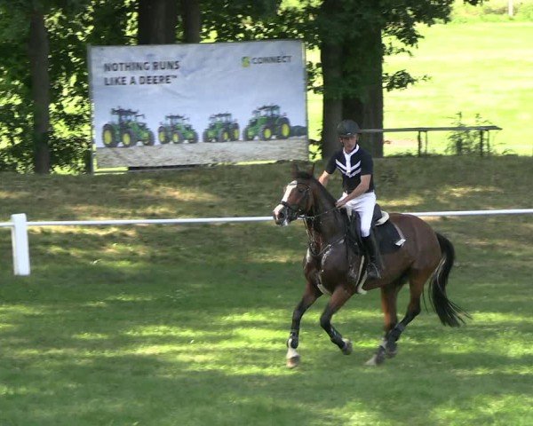 Reitturnier Sonnewalde 2025