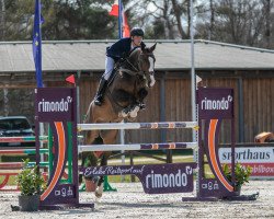 jumper Amigo 1841 (Hanoverian, 2013, from A Conto Son)