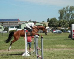 broodmare Roxi (German Sport Horse, 2010, from Casdorff)