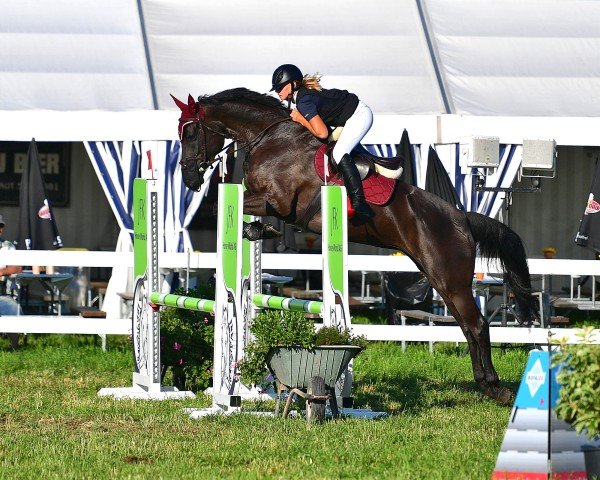 jumper Amira du Coeur CH (Swiss Warmblood, 2018, from Adoro)