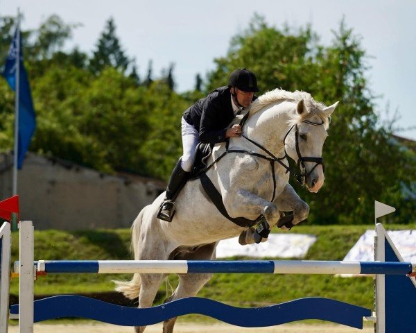 jumper Calouisio (German Sport Horse, 2016, from Calidrio)