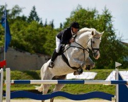 jumper Calouisio (German Sport Horse, 2016, from Calidrio)