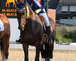 dressage horse Söhnlein Brillant 6 (Rhinelander, 2010, from Sir Donnerhall I)