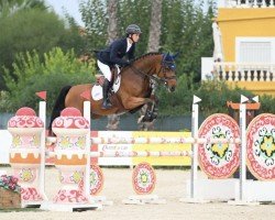 jumper Comme Toi (Hanoverian, 2016, from Comme il Faut)