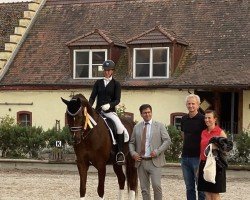 Dressurpferd Fionnbharr (Westfale, 2016, von Fuechtels Floriscount OLD)