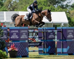 jumper Fss Outlaw (Irish Sport Horse, 2014, from VDL Cardento 933)