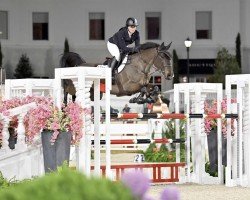 jumper Maraca Ls La Silla (Sporthorse La Silla, 2007, from Quintero)