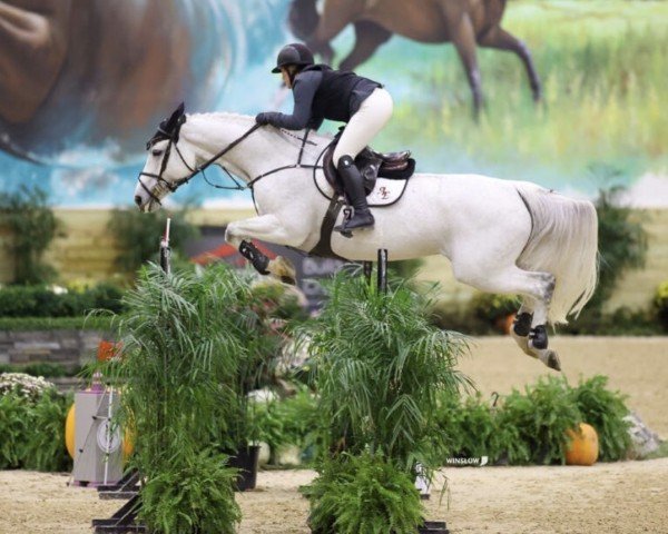 jumper Boudika Ideal Home (Belgium Sporthorse, 2007, from Castelino van de Helle)