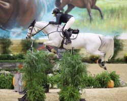 Springpferd Boudika Ideal Home (Belgium Sporthorse, 2007, von Castelino van de Helle)