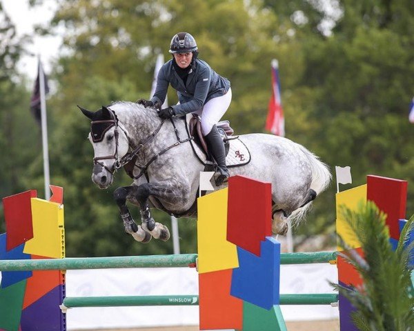 jumper Vancouver (Westphalian, 2009, from Valentino)