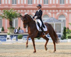 dressage horse Desert Love (Hanoverian, 2018, from Da Costa)