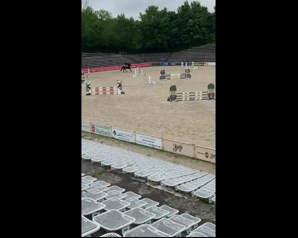 Reitturnier Marbach / Lauter 2025