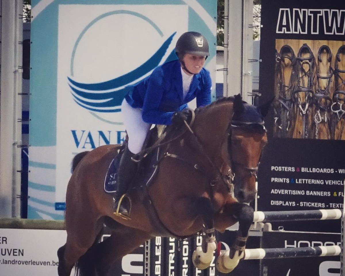 jumper Hipoliet Js (Belgian Warmblood, 2007, from Quidam de Revel)