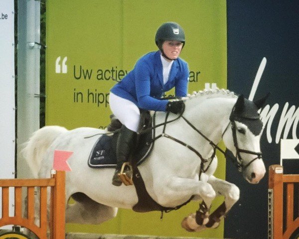 jumper Kiss & Fly (Oldenburg show jumper, 2009, from Clintord)