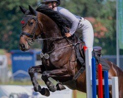 broodmare Celina KH (Holsteiner, 2021, from Central Park 6)