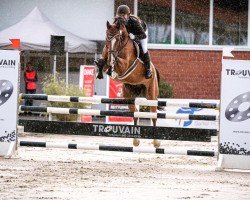 jumper Firewall 6 (Westphalian, 2010, from Fanfani 4)