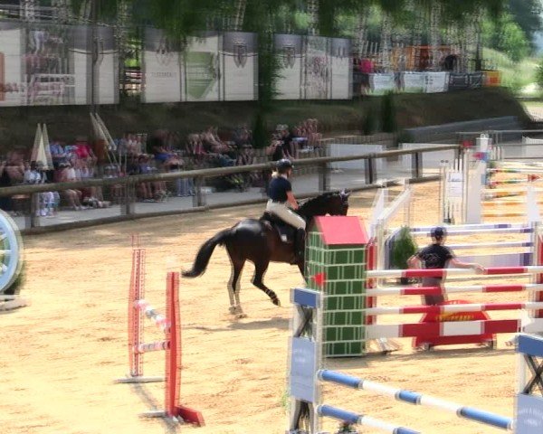 Reitturnier Berching/Opf. 2025