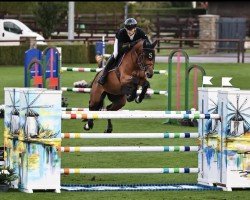 broodmare Hawaii Semilly (Selle Français, 2017, from Comme il Faut)