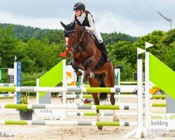 jumper Ageha (Holsteiner, 2017, from Million Dollar)