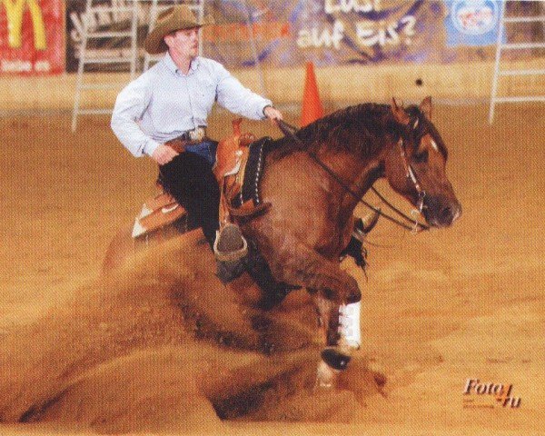 horse Dun It Starskie (Quarter Horse, 2001, from Hollywood Dun It)