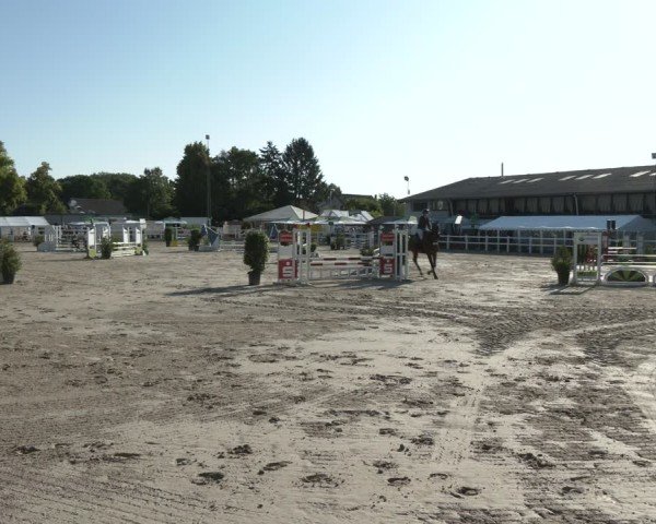 Reitturnier Dortmund-Somborn 2025