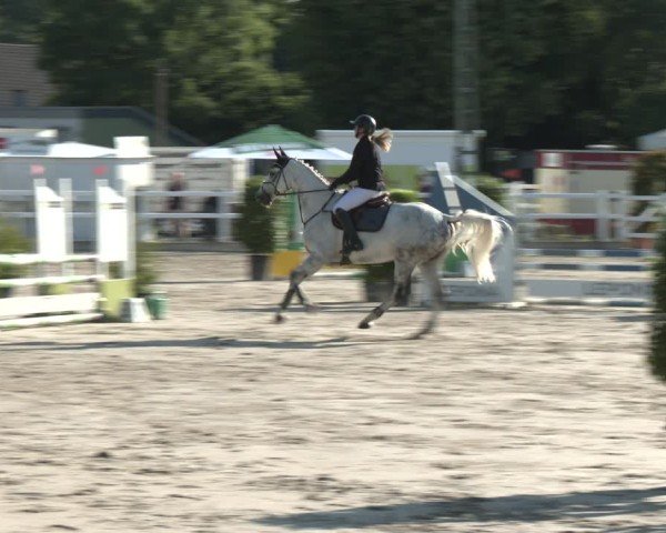 Reitturnier Dortmund-Somborn 2025