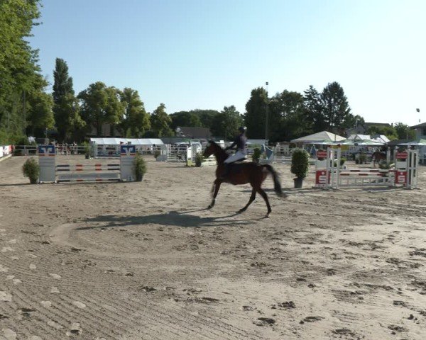 Reitturnier Dortmund-Somborn 2025