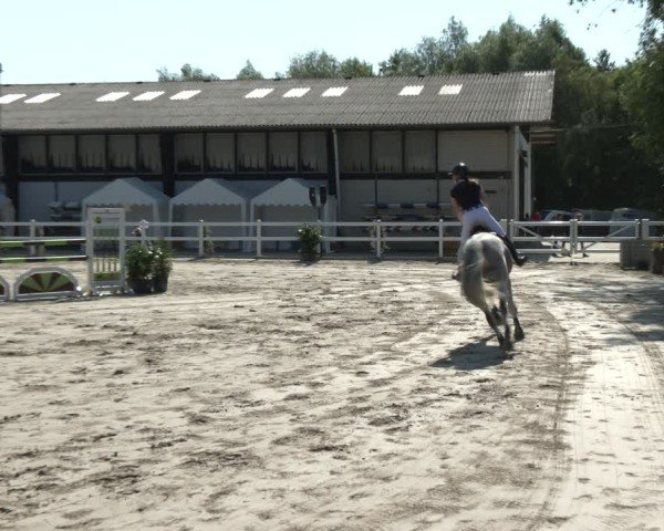 Reitturnier Dortmund-Somborn 2025