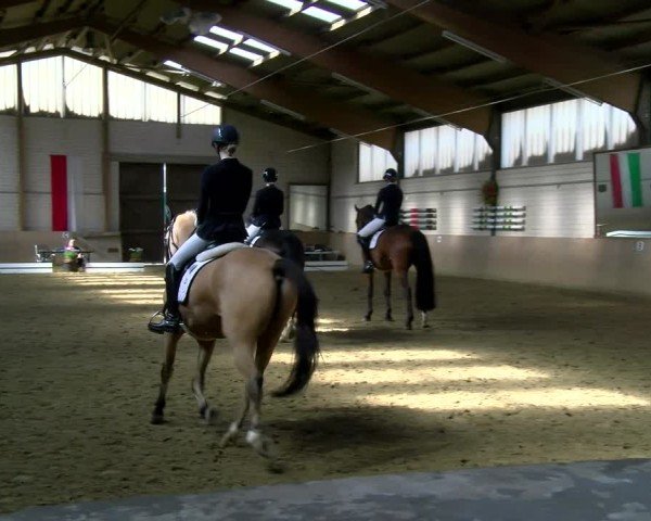 Reitturnier Dortmund-Somborn 2025