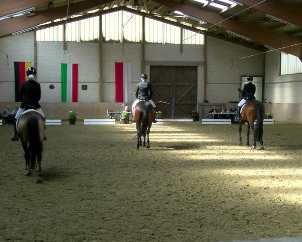 Reitturnier Dortmund-Somborn 2025