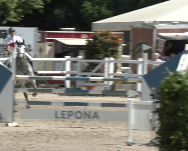 Reitturnier Dortmund-Somborn 2025