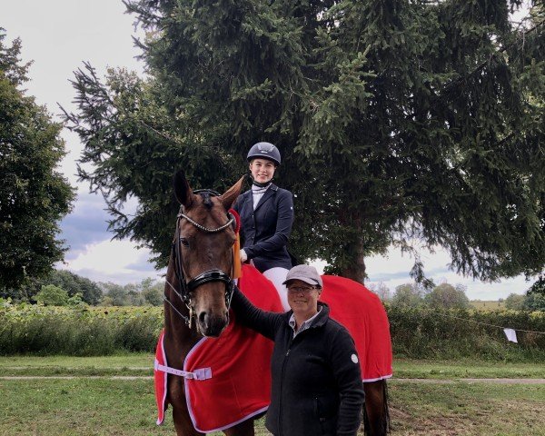 dressage horse Felicità (Hanoverian, 2015, from Fürstbischof)