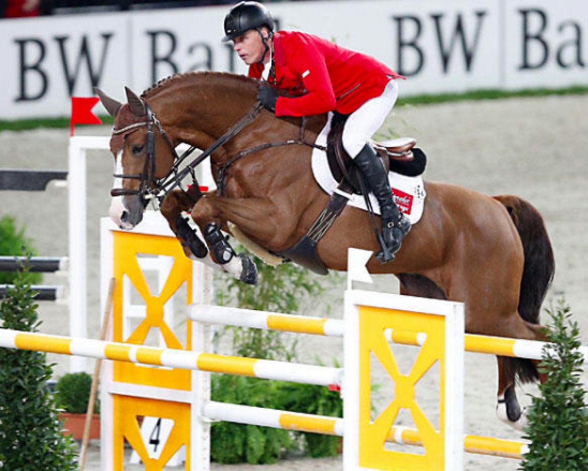 stallion Light On OLD (Oldenburg, 2002, from Lordanos)