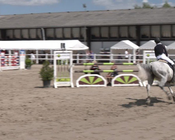 Reitturnier Dortmund-Somborn 2025