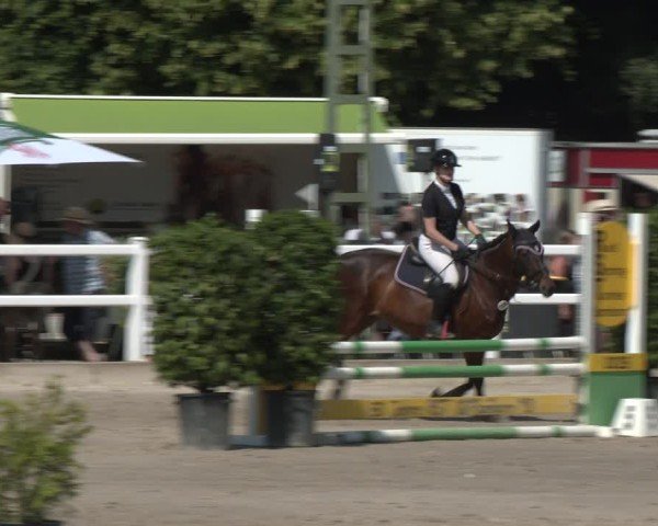 Reitturnier Dortmund-Somborn 2025