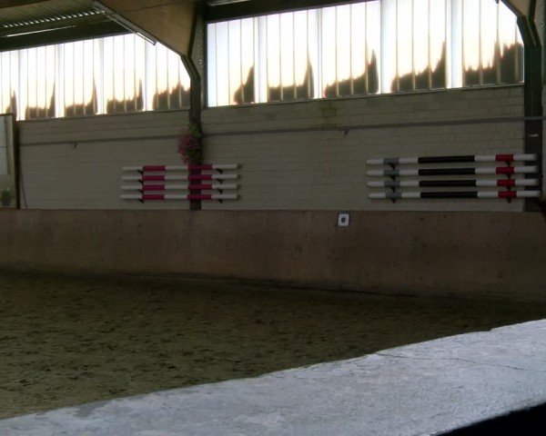 Reitturnier Dortmund-Somborn 2025