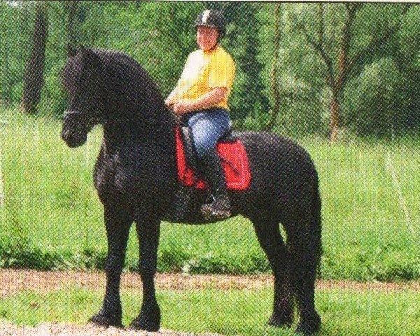 horse Ulbe (Friese, 2006, from Leffert 306)