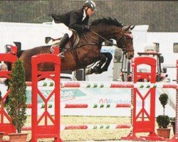 stallion Guiness 61 (Oldenburg, 2005, from Grand Coeur)