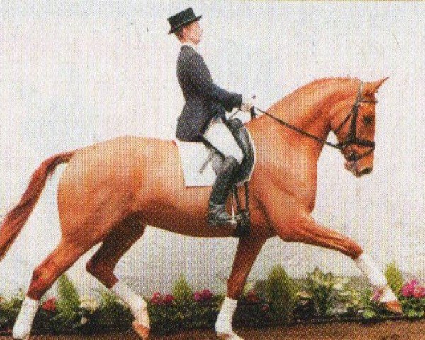 stallion Laureus (Westphalian, 1998, from Laurentianer)