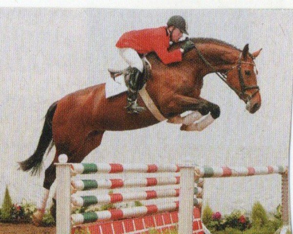 broodmare Gitty (Westphalian, 1998, from Gralshüter)