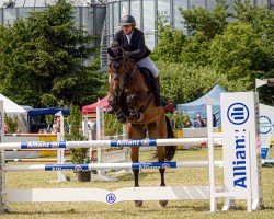 jumper Vistamar HS (Hanoverian, 2015, from Viscount 22)