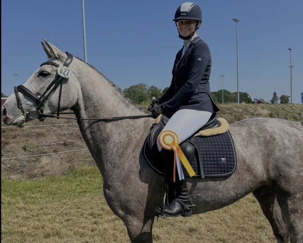 broodmare Bahira (Oldenburg show jumper, 2020, from Big Star)