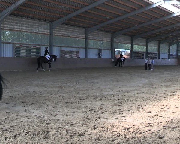 Reitturnier Dortmund-Somborn 2025