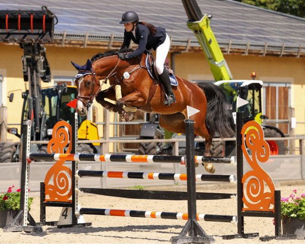 broodmare Arabella (German Sport Horse, 2010, from Colestus)