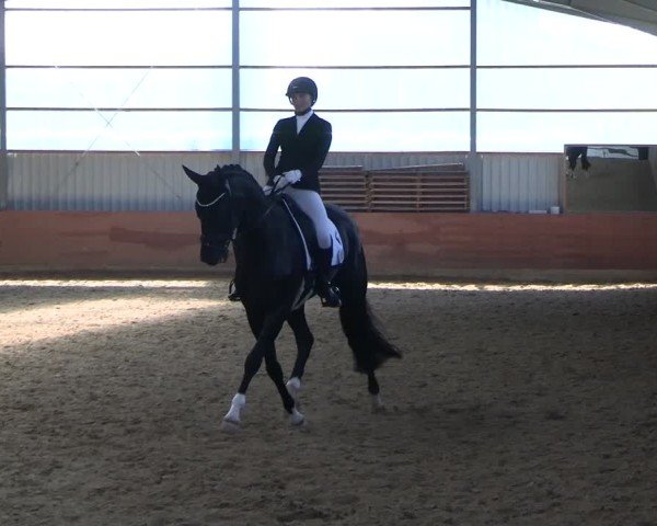 Reitturnier Dortmund-Somborn 2025