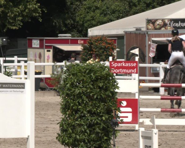 Reitturnier Dortmund-Somborn 2025