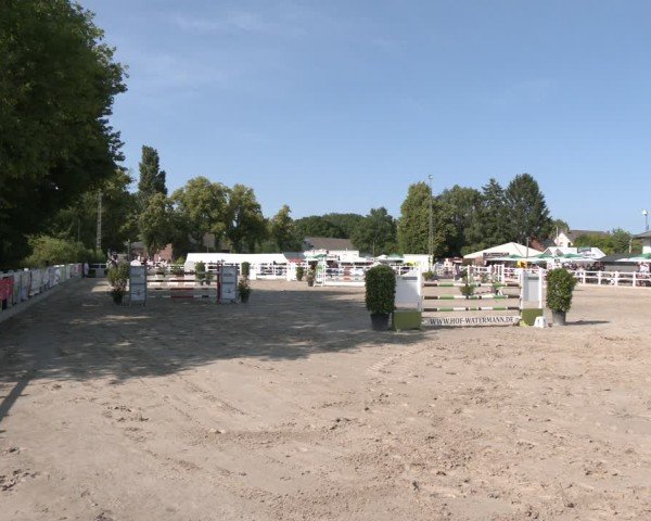 Reitturnier Dortmund-Somborn 2025