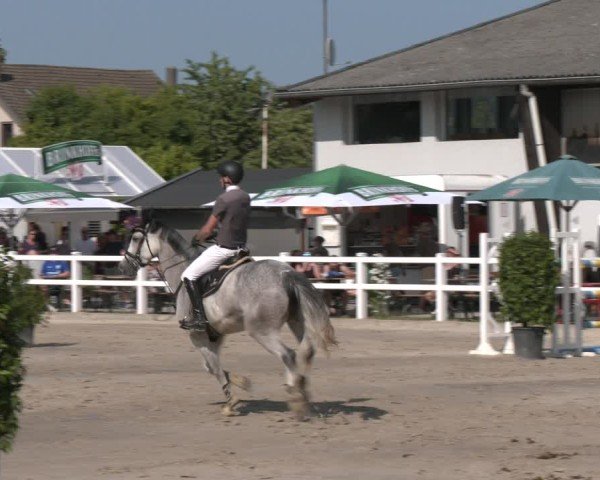 Reitturnier Dortmund-Somborn 2025