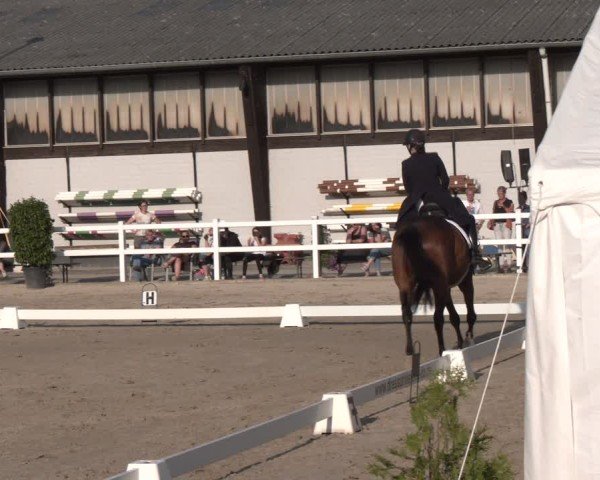 Reitturnier Dortmund-Somborn 2025